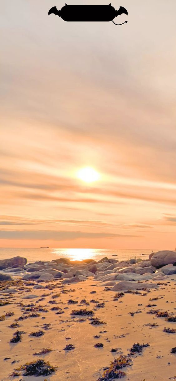 Hình Nền iPhone 14 Pro Max 3