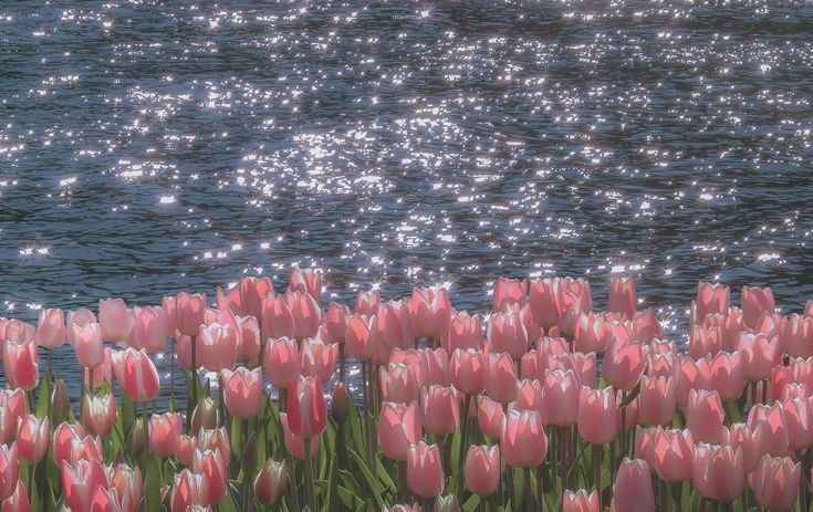 Hình Nền Máy Tính Đẹp 12