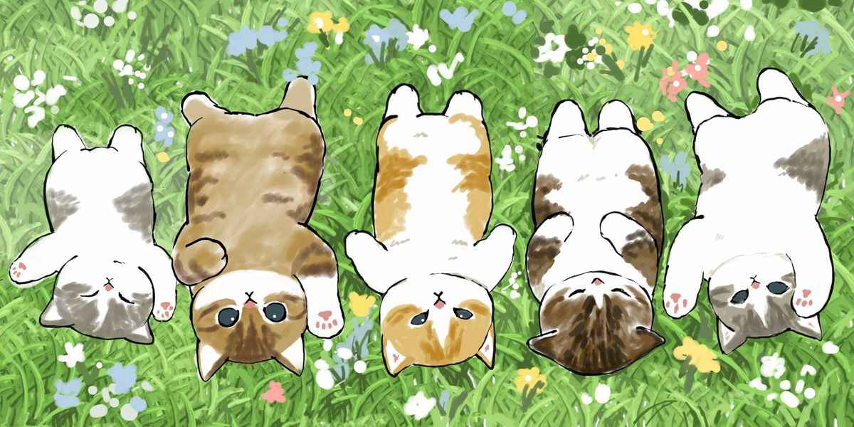 Hình Nền Mèo Cute 9