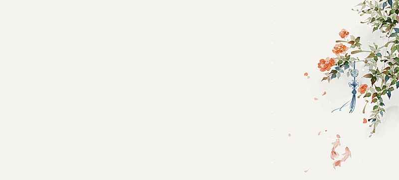 Hình Nền Trắng 13