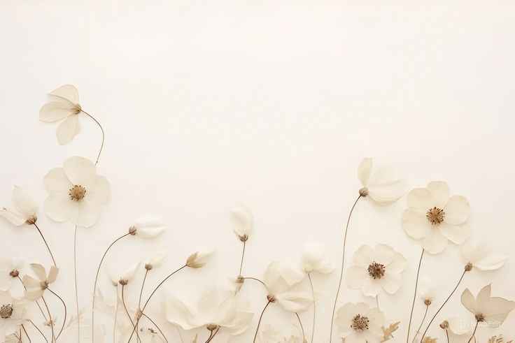 Hình Nền Trắng 16