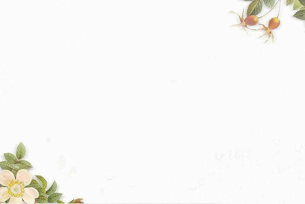 Hình Nền Trắng 2