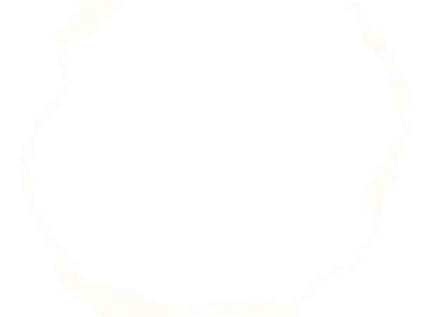 Hình Nền Trắng 1