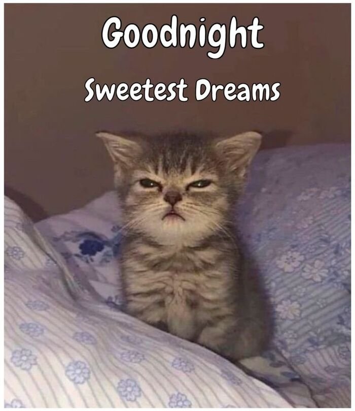 Funny Good Night Images 14