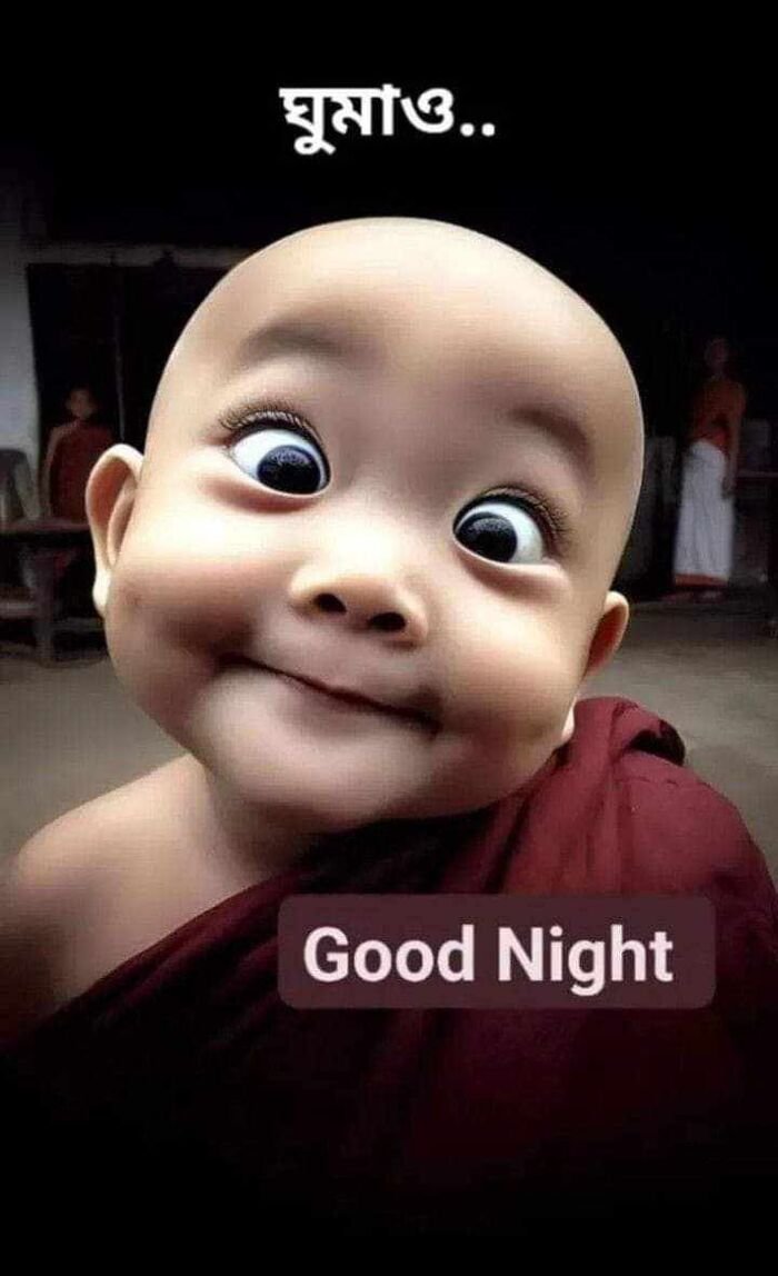 Funny Good Night Images 15