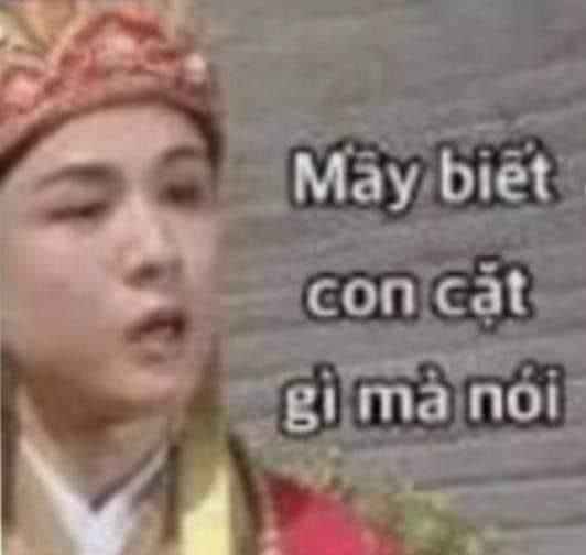 Meme Chửi 20