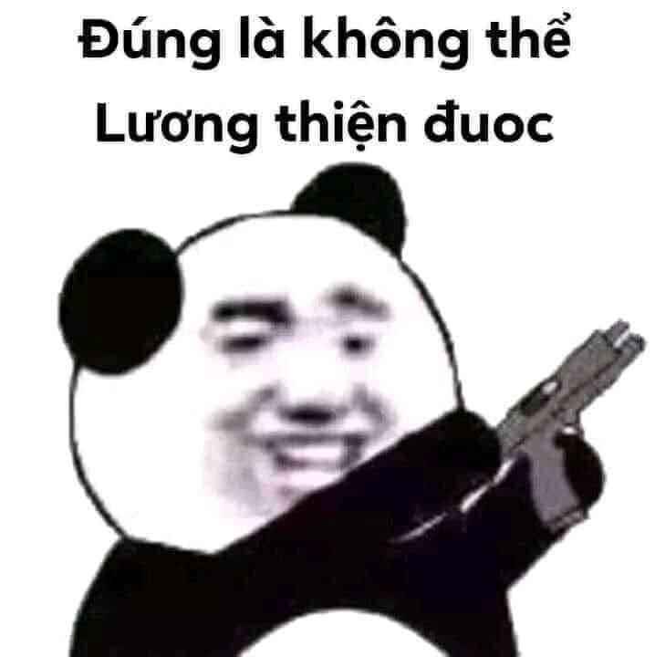 Meme Cười 7
