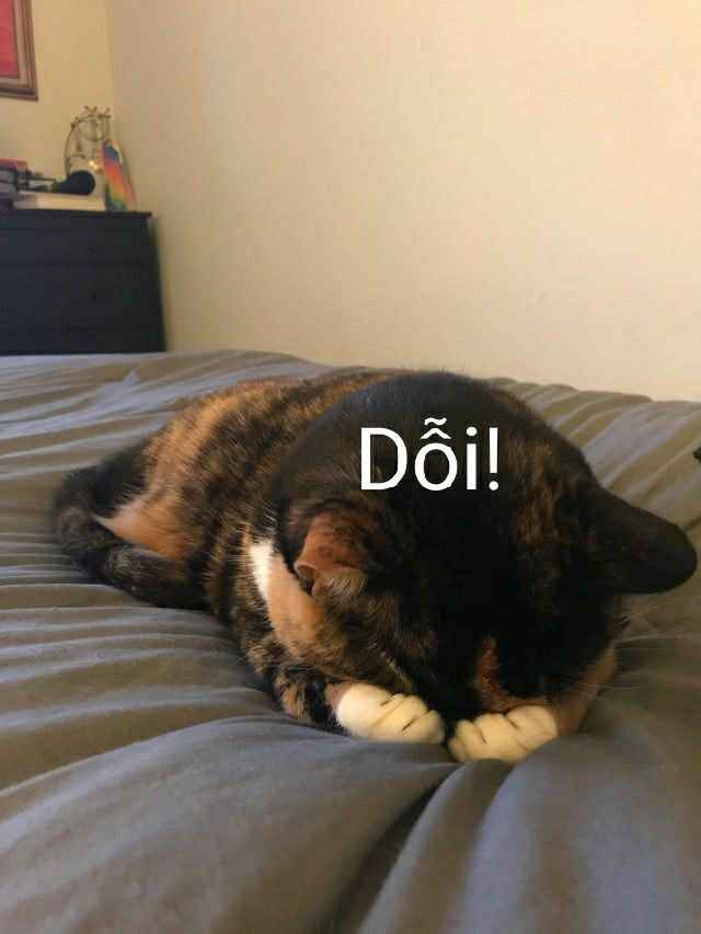 Meme Dễ Thương 2