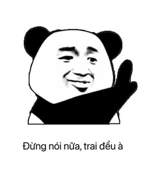 Gấu Trúc Meme 6