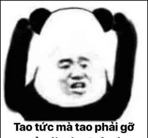 Meme Gấu Trúc 1
