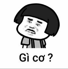 Gấu Trúc Meme 2