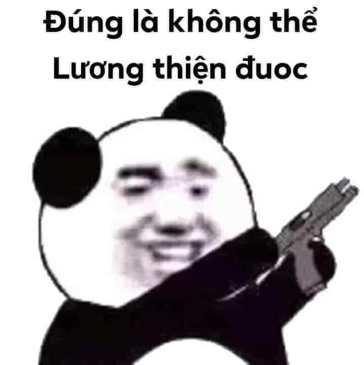 Gấu Trúc Meme 15