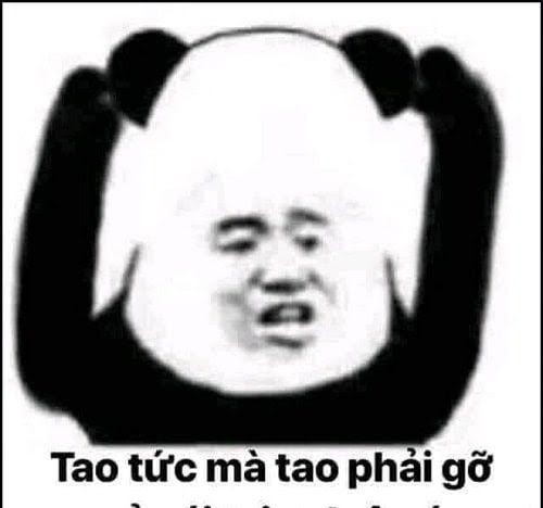 Gấu Trúc Meme 9