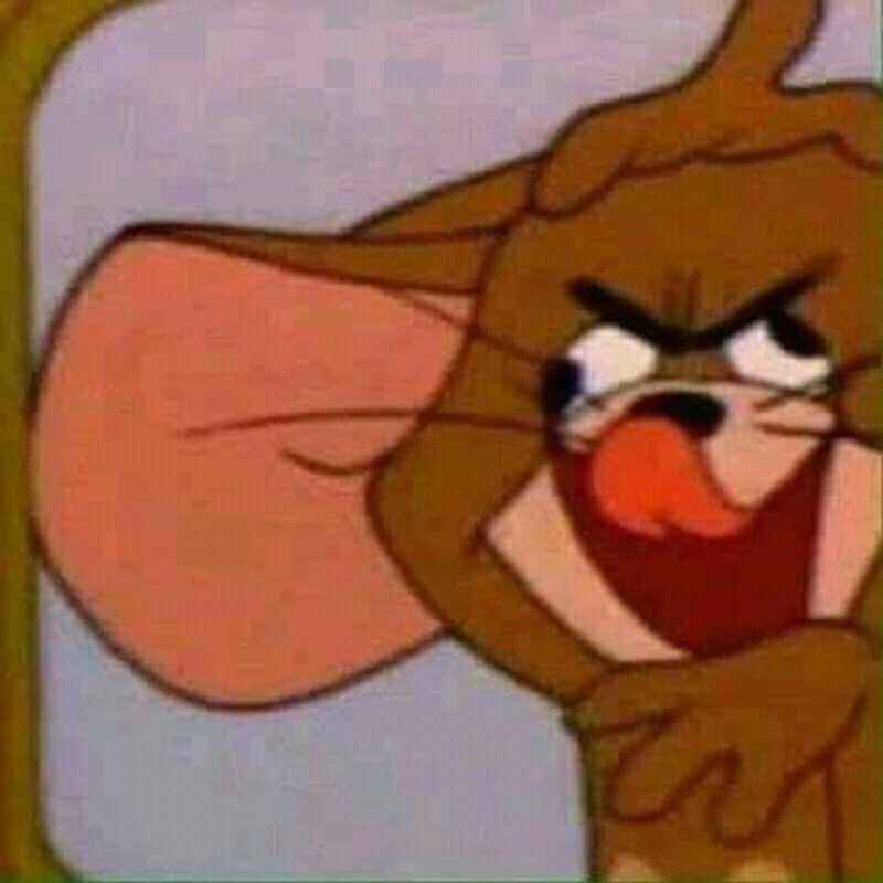 Meme Jerry 4