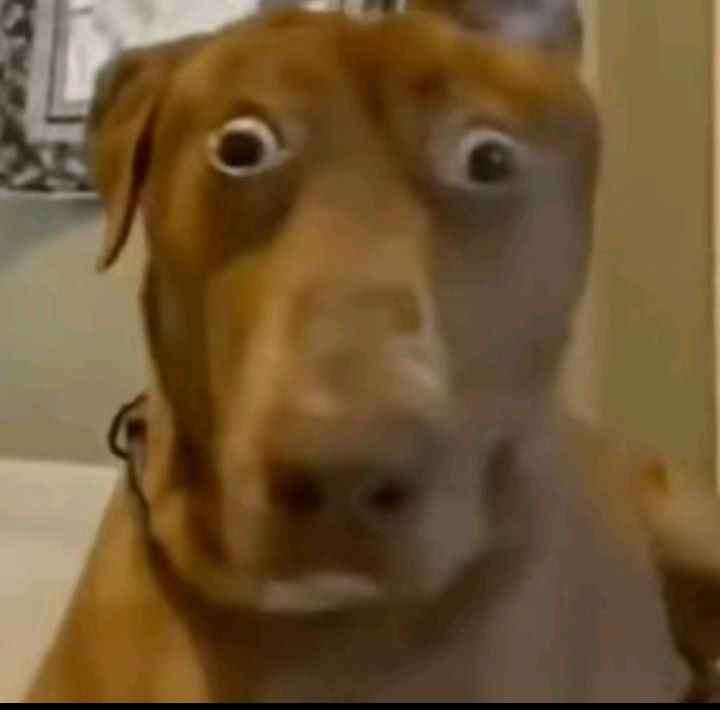 Meme ngạc nhiên 2