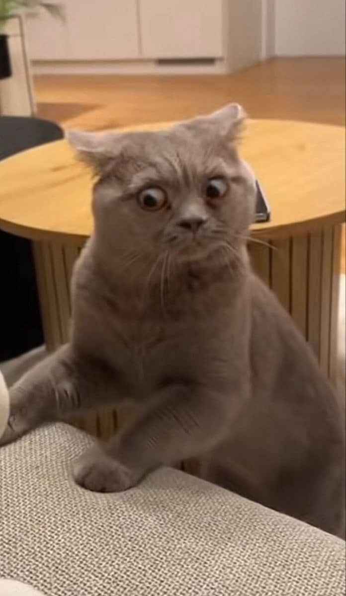 Meme ngạc nhiên 5