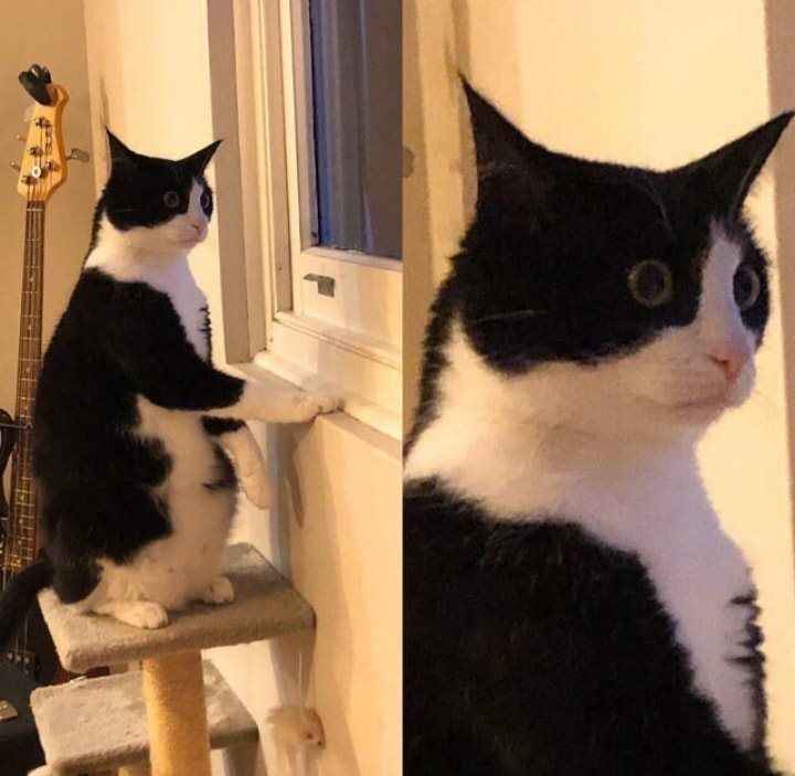 Meme ngạc nhiên 10