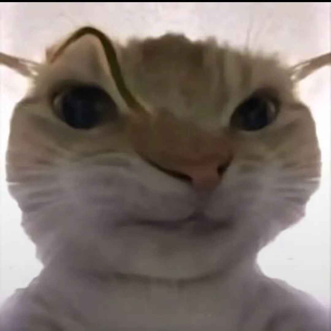 Meme ngạc nhiên 11