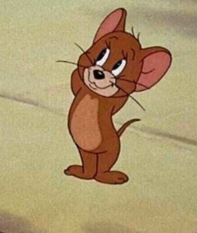 Meme Tom and Jerry 14