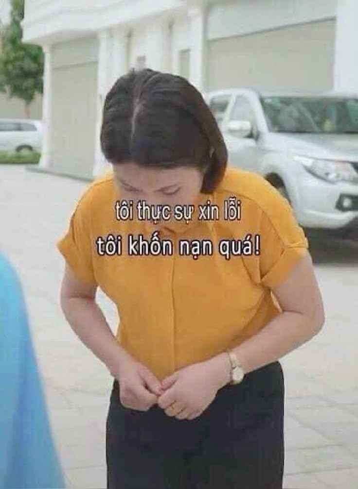 Meme xin lỗi 12