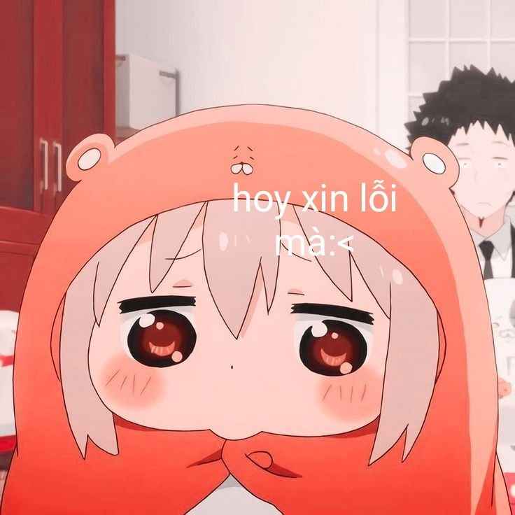 Meme xin lỗi 19