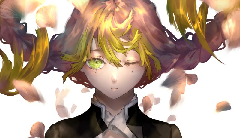 ảnh Mitsuri anime 13