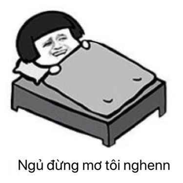 Ngủ Ngon Meme 3
