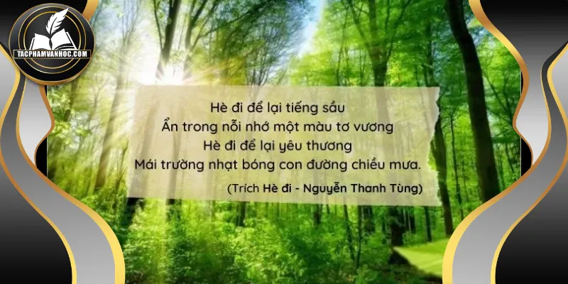 Nhịp điệu uyển chuyển tạo âm hưởng độc đáo