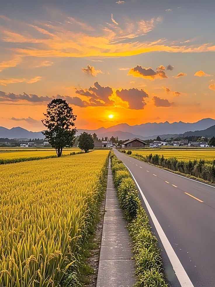 Phong Cảnh Quê Hương 13