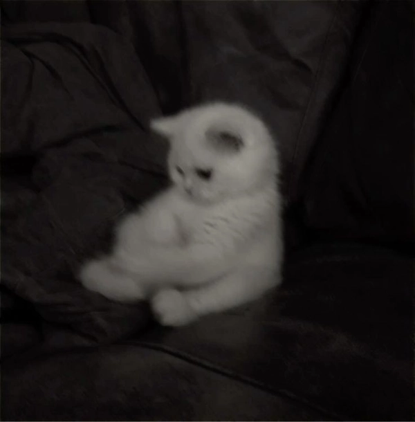 Sad DP for Instagram 54