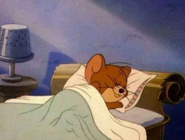 Sleep Meme 10