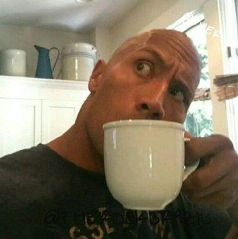 The Rock Meme 9