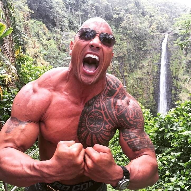 The Rock Meme 8