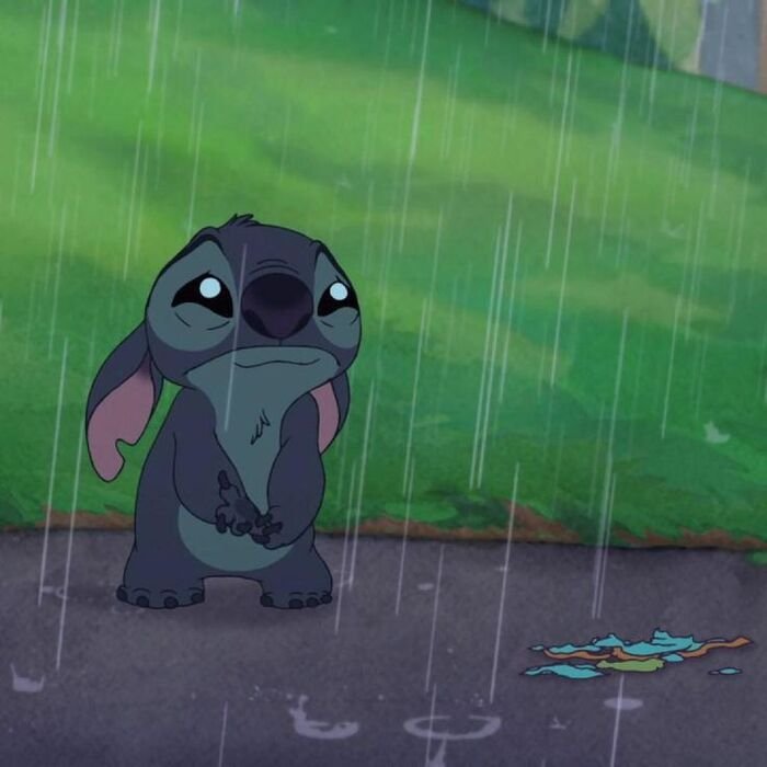 WhatsApp DP Photo 11